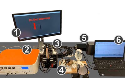 Effects of Perturbation Velocity, Direction, Background Muscle Activation, and Task Instruction on Long-Latency Responses Measured From Forearm Muscles